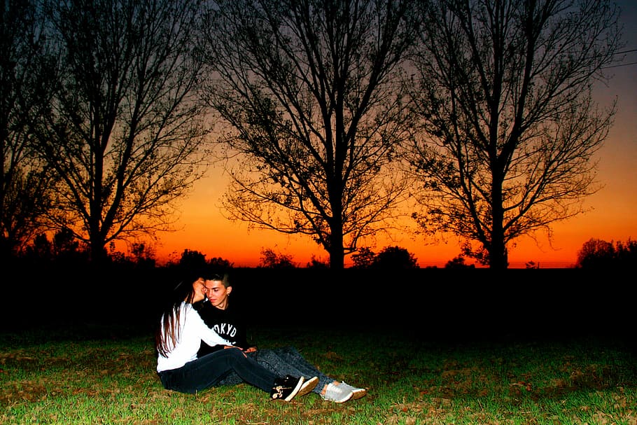 couple, love, sunset, red, romance, in the evening, hug, plant HD wallpaper