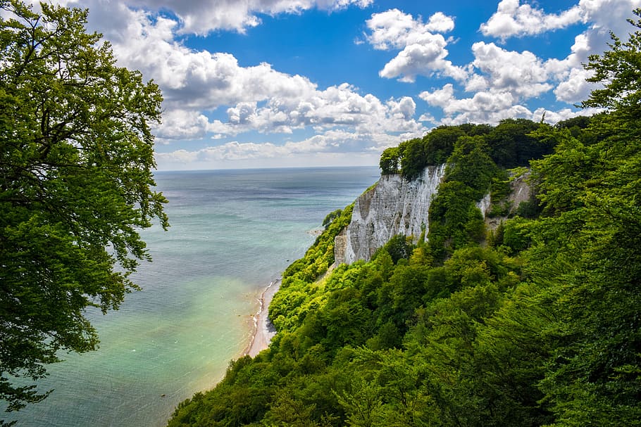 nature, waters, landscape, tree, summer, panorama, coast, places of interest HD wallpaper