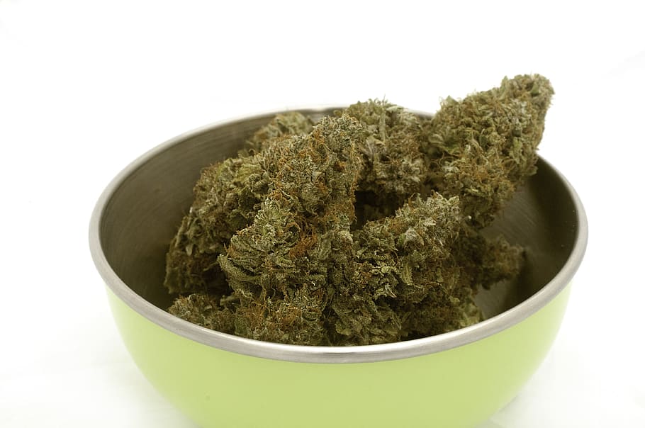 marijuana, cannabis, bud, white background, plant, indoors, HD wallpaper