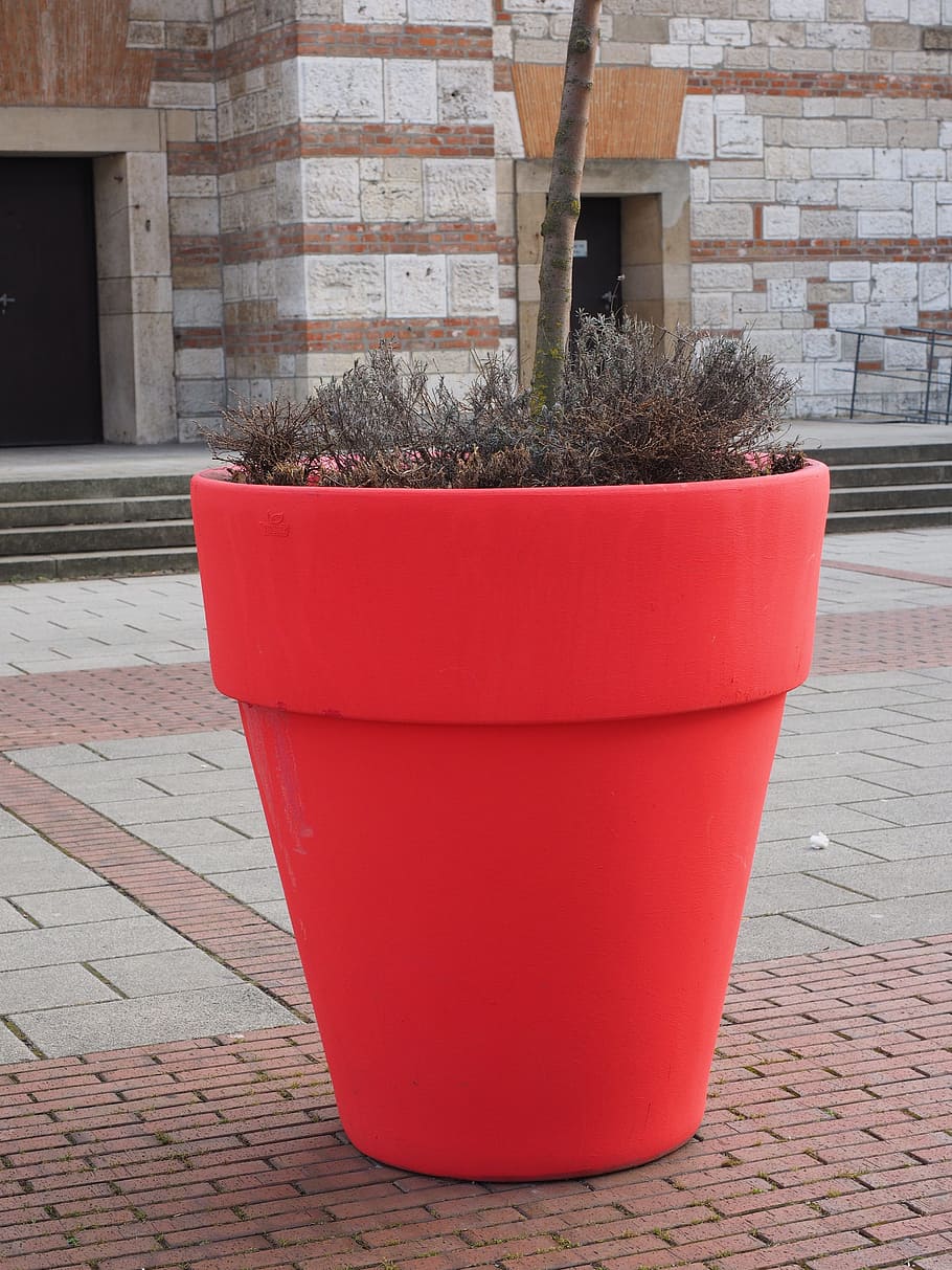 flowerpot, plus size, red, architecture, built structure, wall HD wallpaper