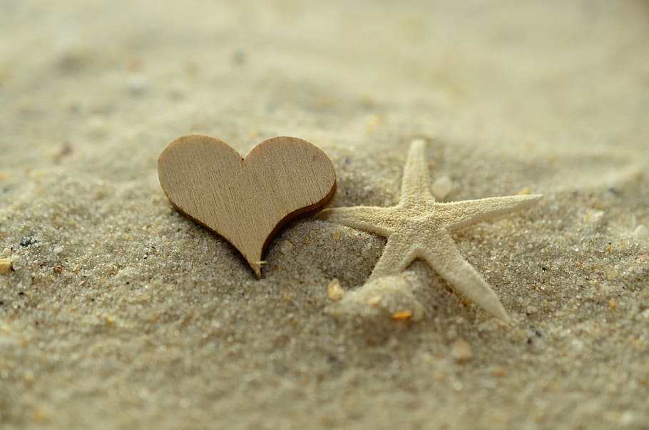 brown wooden heart decor and white star fish, sand, starfish HD wallpaper