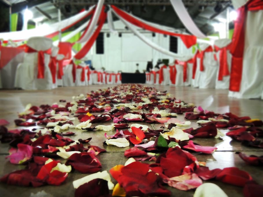 wedding, roses, decoration, freshness, flower, flowering plant HD wallpaper