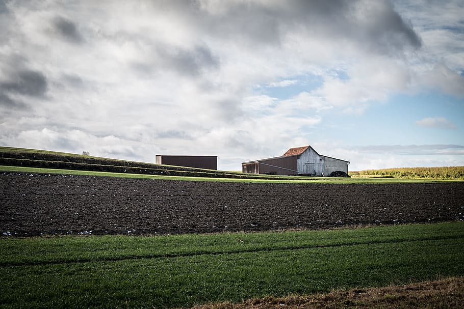 Scale, Barn, Fields, Clouds, Agriculture, hut, farm buildings HD wallpaper