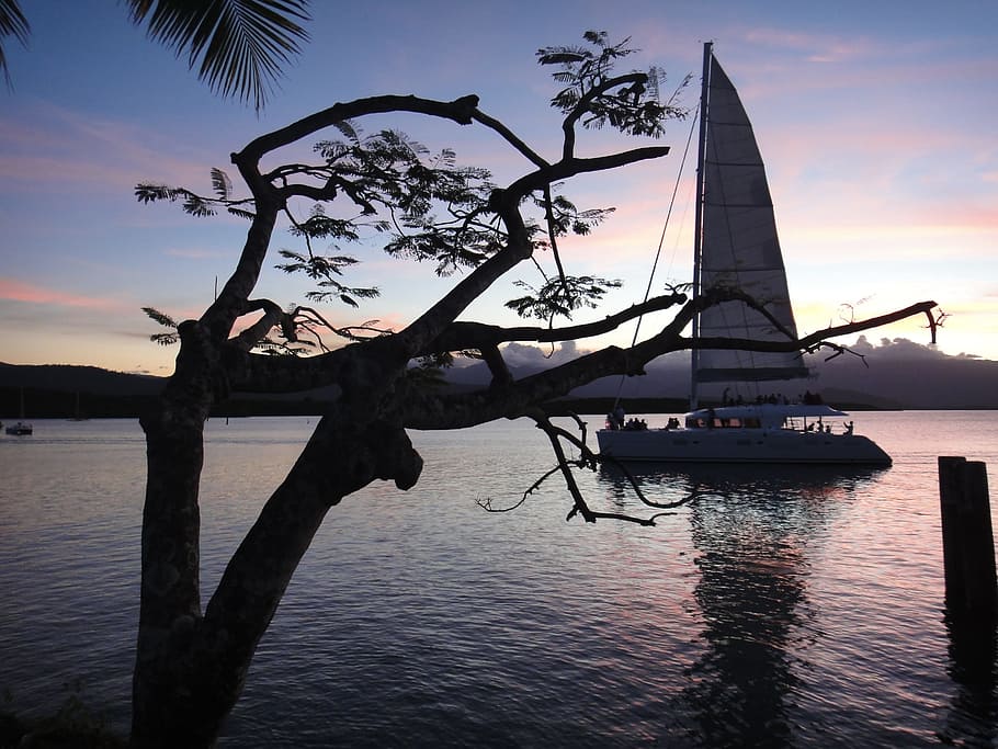 sail, boot, ship, abendstimmung, sailing boat, water, sky, tree HD wallpaper