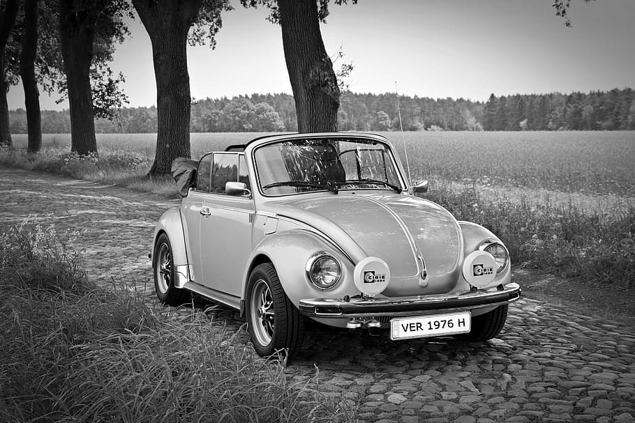 oldtimer, vw, vw beetle, convertible, classic, volkswagen, volkswagen vw HD wallpaper