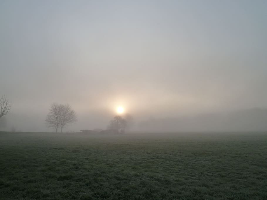 fog, autumn, nature, back light, mood, atmosphere, sunrise HD wallpaper