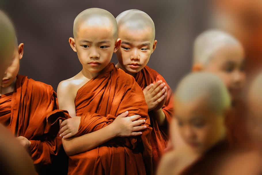 boy monks, theravada buddhism, novices, theravada samanera, monastery