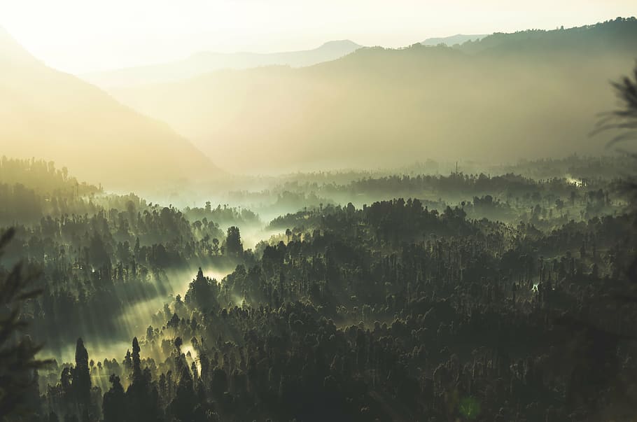 aerial photo of jungle, nature, landscape, mountain, clouds HD wallpaper