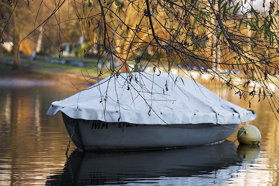 tree, aesthetic, boot, powerboat, water, lake, river, sea, mirroring HD wallpaper