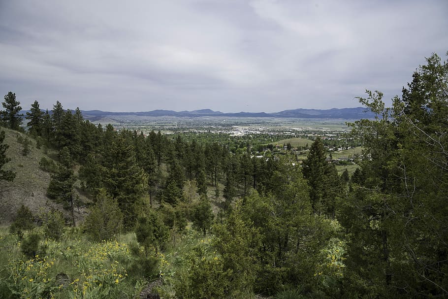 Trees with sky and clouds with the town of Helena, landscape HD wallpaper