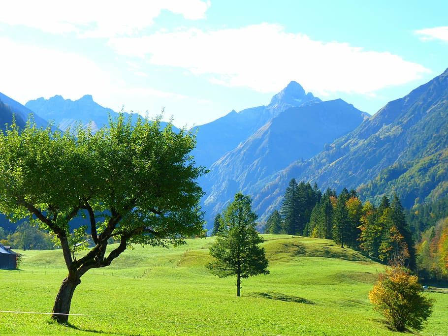 green field below mountains, landscape, trees, nature, outdoors HD wallpaper