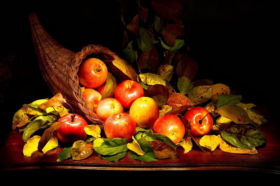 cornucopia, apples, autumn, red, yellow, still life, food and drink HD wallpaper