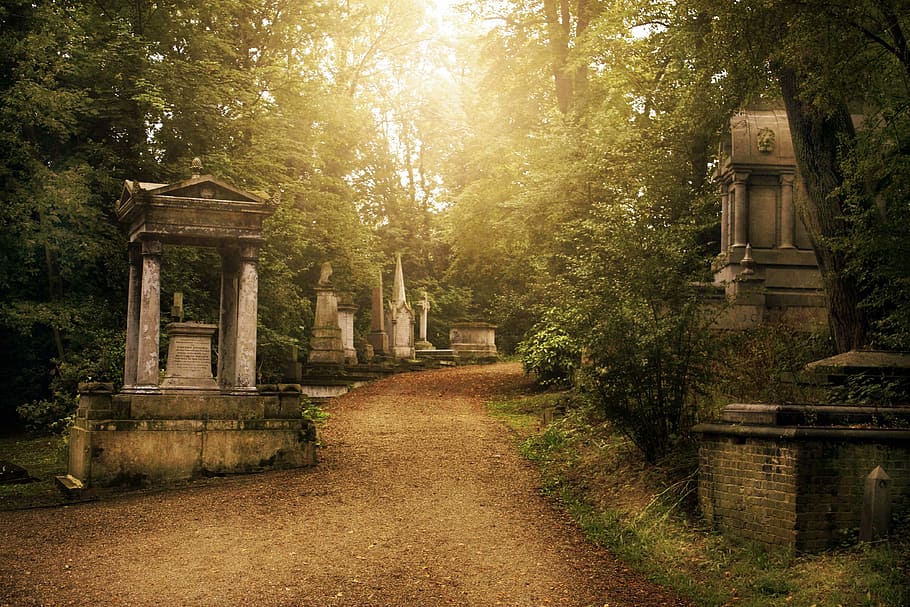 pathway between trees, Graveyard, Cemetery, Grave, Death, tombstone, HD wallpaper