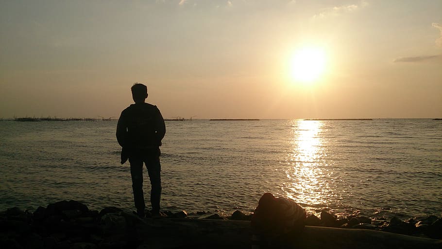 view, sun, sink, water, sea, sunset, sky, rear view, beach HD wallpaper