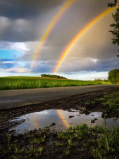rainbow above green wheat field, thunderstorm, weather, sky HD wallpaper