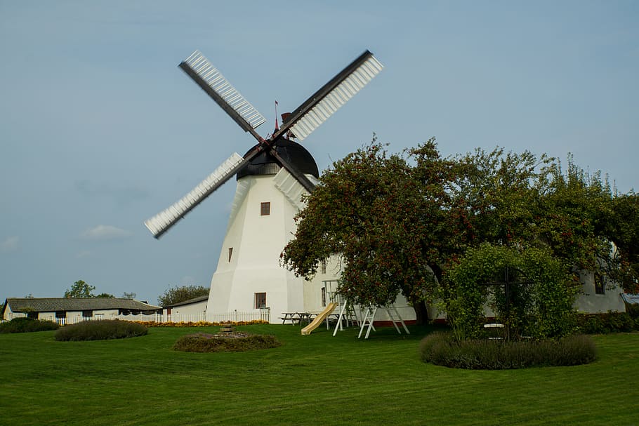 Windmill, Fruit Tree, Building, summer, rush, white, green HD wallpaper