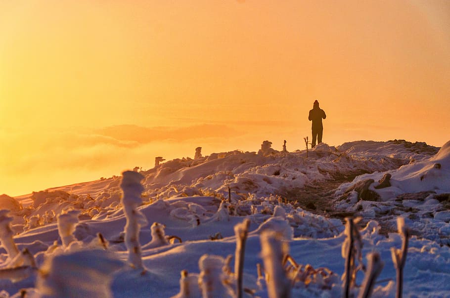 human standing on snow covered mountain, person standing on hill filled on snow under yellow sky HD wallpaper