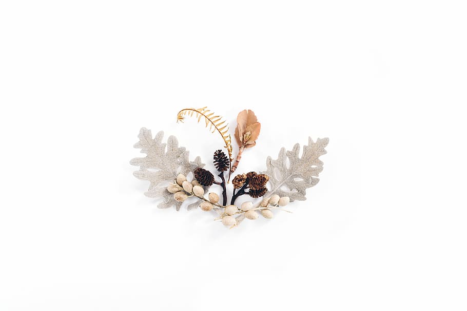 brown flower painting, white and gray leaf decor, dry, soft, decoration HD wallpaper