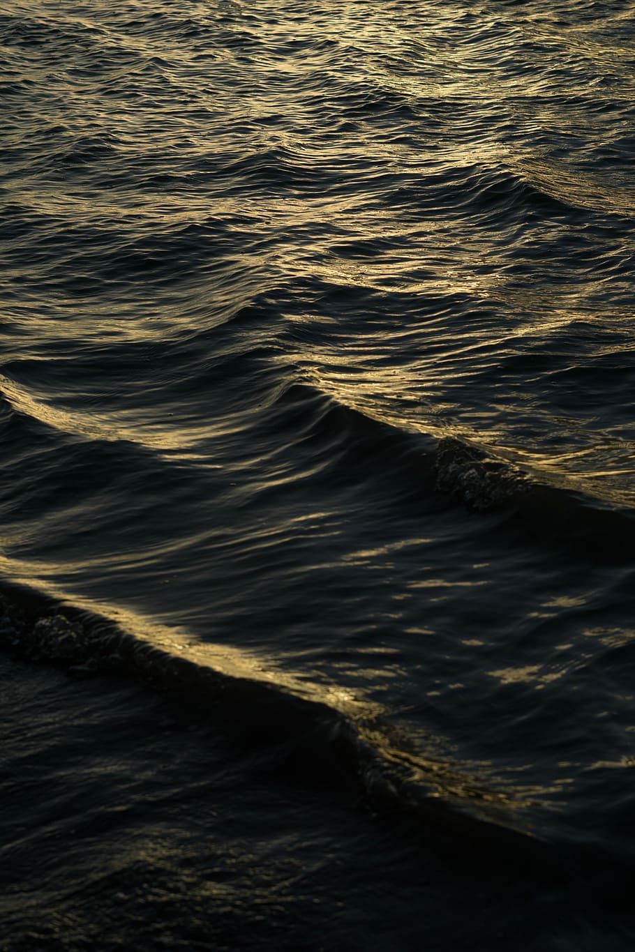 high waves at daytime, photo of calm water, ripple, sunlight HD wallpaper