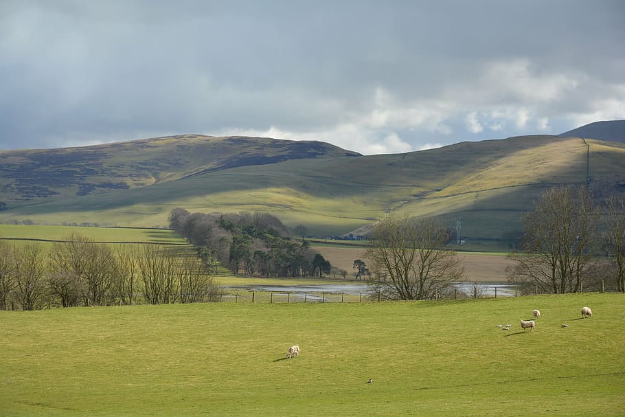 Free download | HD wallpaper: scottish, nature, landscape, scotland ...