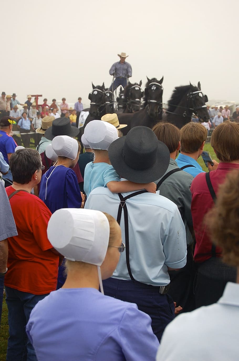 Amish, Persons, Man, Women, People, amish gathering, amish people, HD wallpaper