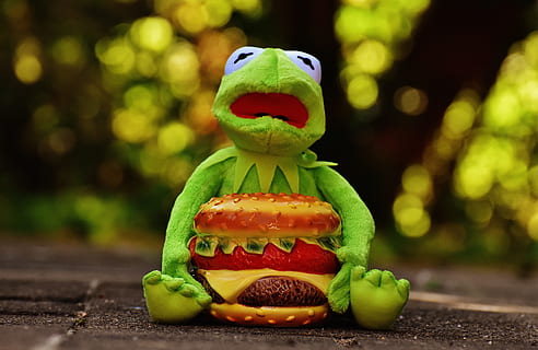 kermit, frog, cheeseburger, hamburger, funny, animal, stuffed animal HD wallpaper