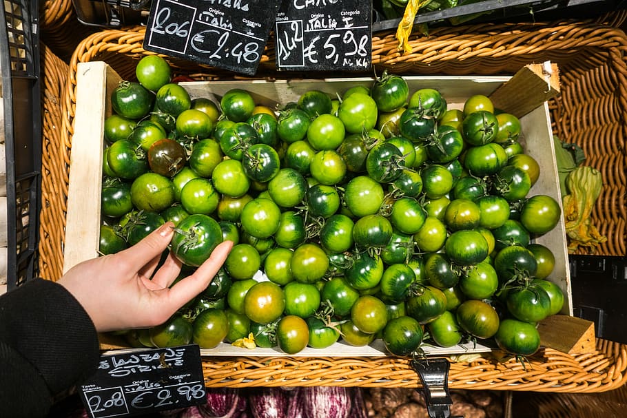 Italian green tomatoes, hands, fruit, food, market, store, freshness HD wallpaper