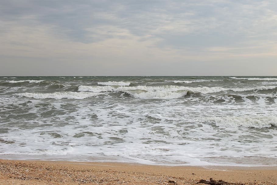 Sea, Beach, Seashells, Summer, sky, sea of ​​azov, nature HD wallpaper