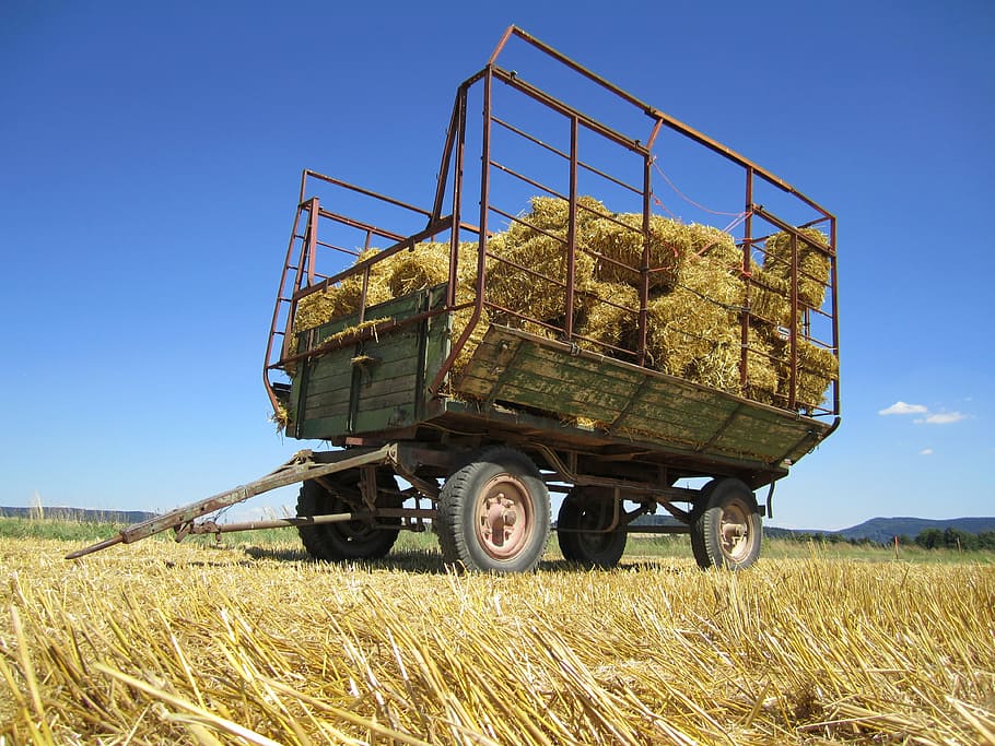 harvest, bauer, fieldwork, arable, cereals, agriculture, nature HD wallpaper