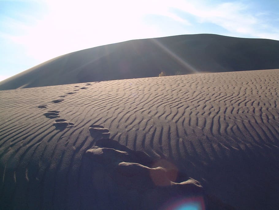 Desert, Footprints, Sand, Dune, Journey, sunset, explore, outdoors HD wallpaper