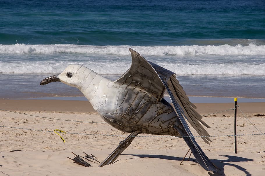 gull, seagull, large, model, sculpture, art, bird, contemporary HD wallpaper