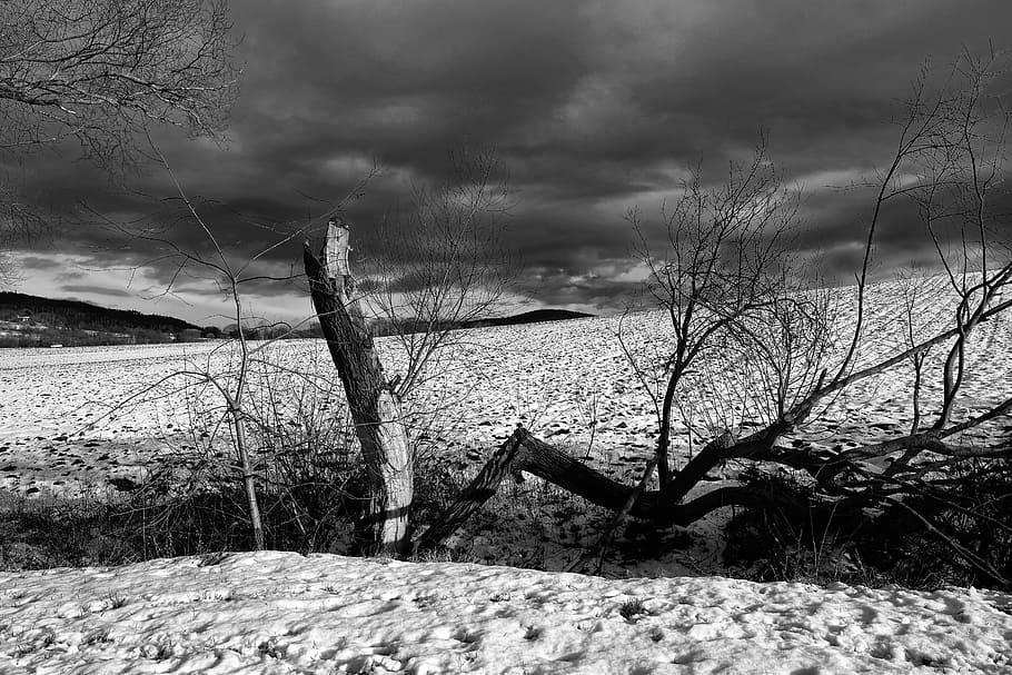 landscape, clouds, field, snow, plant, cloud - sky, nature HD wallpaper