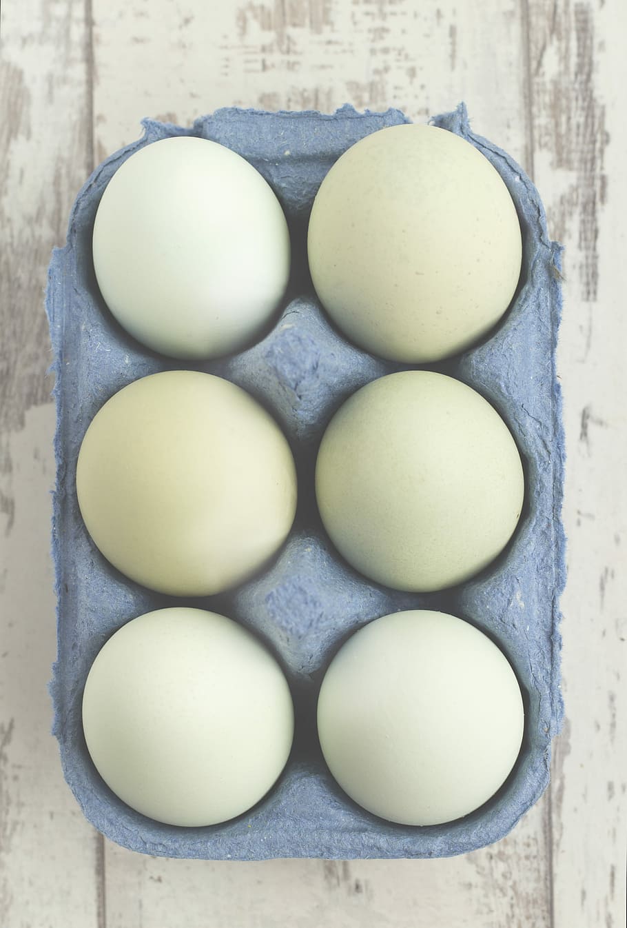 six white eggs placed on gray tray, close up photography of six poultry eggs in tray HD wallpaper