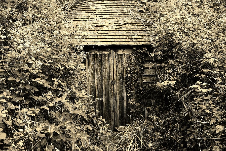 secret garden, hidden shed, overgrown, old, wood, weathered, HD wallpaper