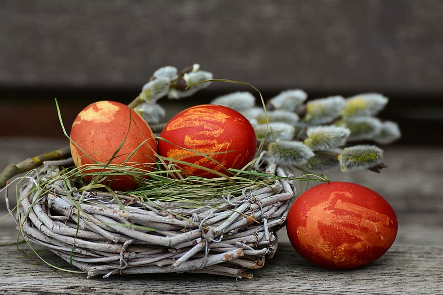 three red and brown eggs on nest, easter eggs, easter nest, easter decoration, HD wallpaper