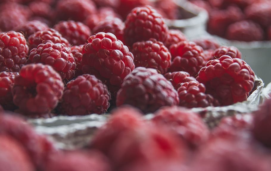 red, fresh, raspberries, raspberry, fruits, vegetables, food HD wallpaper