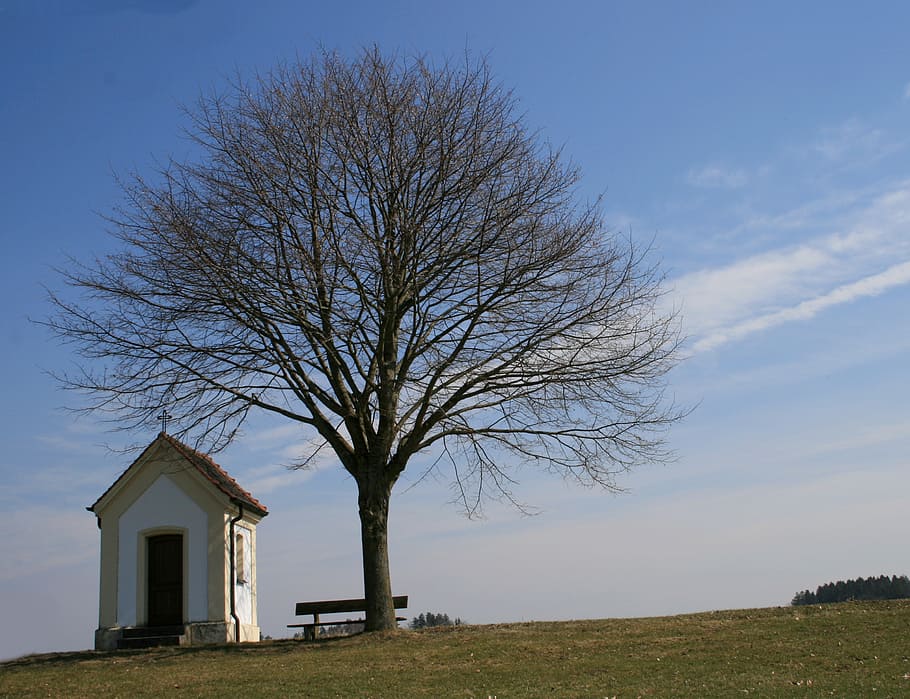 feldkapelle, tree, bank, spring, nature, landscape, sky, green HD wallpaper