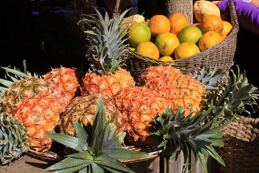 six ripe pineapples, fruit, cuba, food, healthy eating, freshness HD wallpaper
