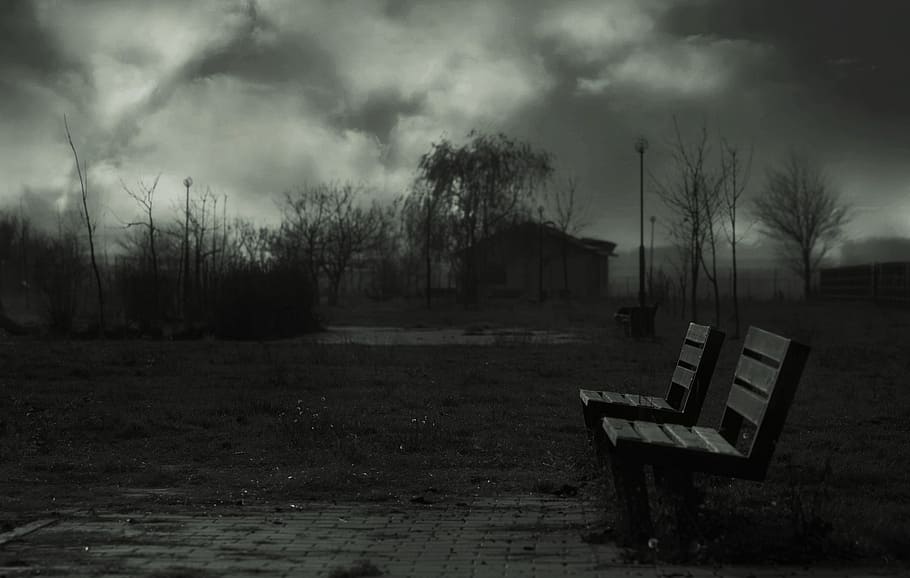 grayscale photo of two benches near trees, bank, single, night HD wallpaper