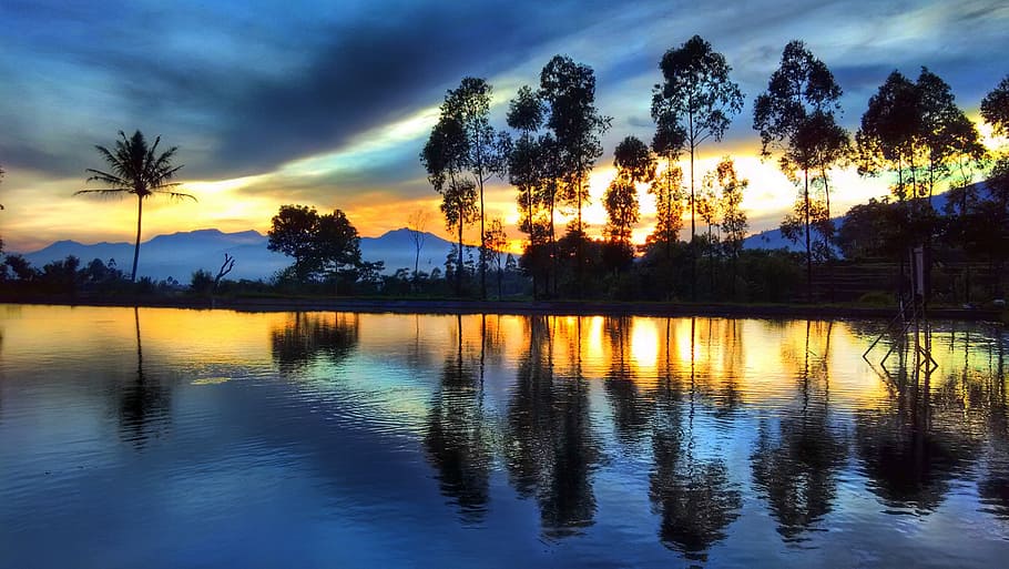 reflection, sunset, beautiful landscape, trees, silhouette HD wallpaper
