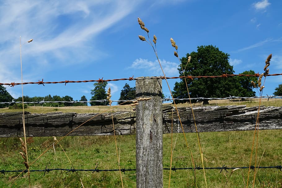 fence, wheat, landscape, meadow, tree, summer, nature, pile HD wallpaper