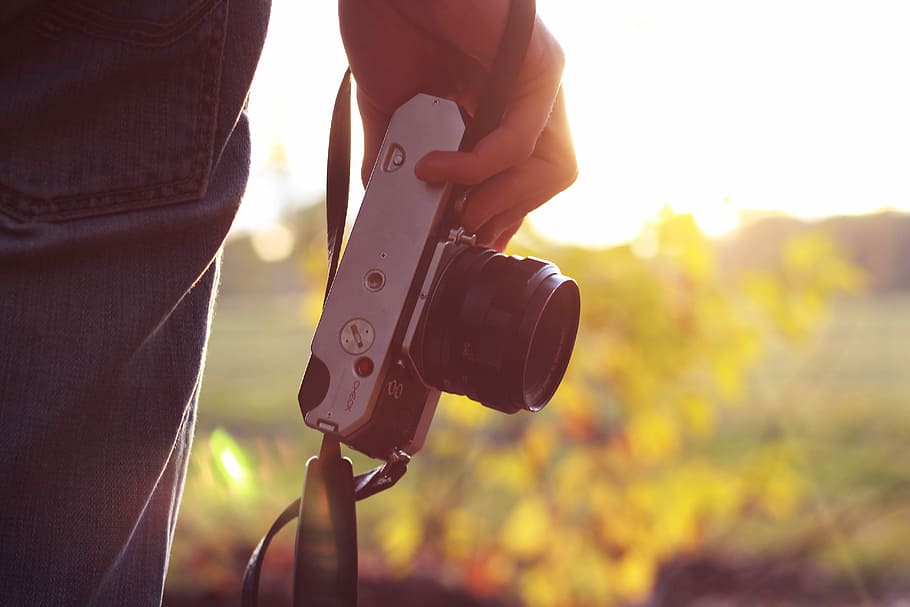 person holding bridge camera during daytime, person holding gray and black camera HD wallpaper