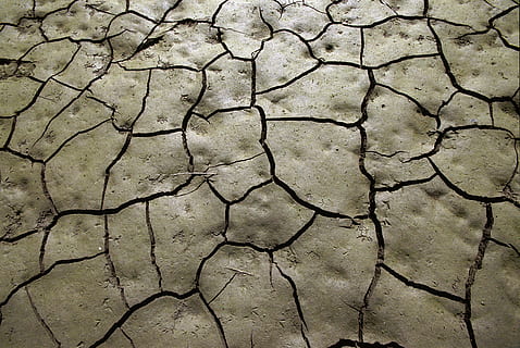 dry land, mud, drought, soil, cracks, clay, footprints, earth HD wallpaper