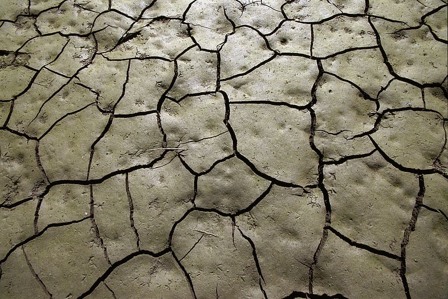 dry land, mud, drought, soil, cracks, clay, footprints, earth HD wallpaper
