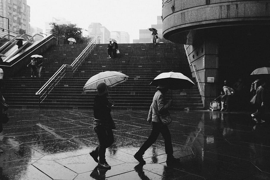 grey scale photography of people under umbrella, raining, umbrellas