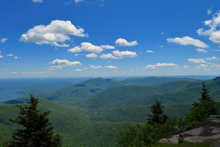 mountainside, clouds, view, trees, pine, landscape, nature HD wallpaper