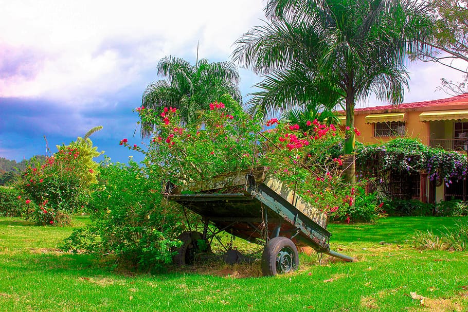 house, tree, nature, landscape, trees, green, costa, mountain HD wallpaper