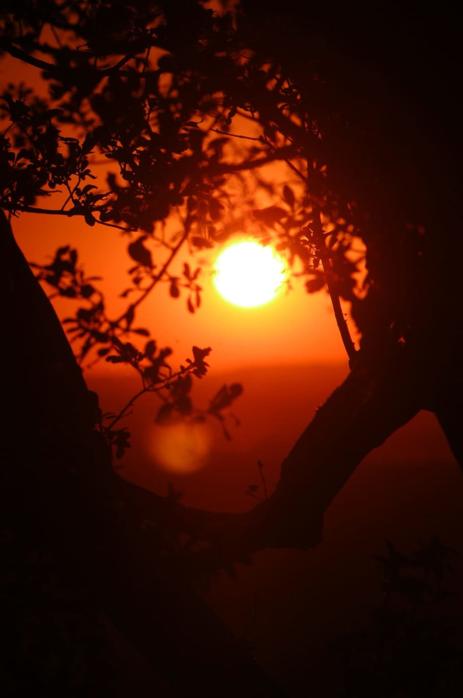 landscape, sunset, eventide, sky, beauty in nature, orange color HD wallpaper