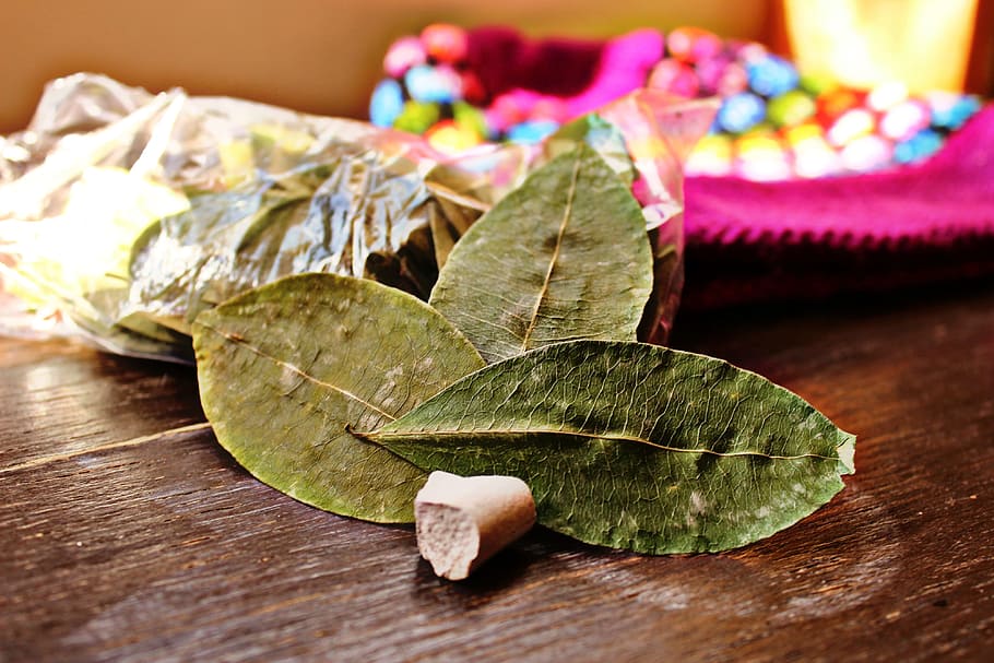 coca, andes, arequipa, leaf, altitude sickness, plant part HD wallpaper
