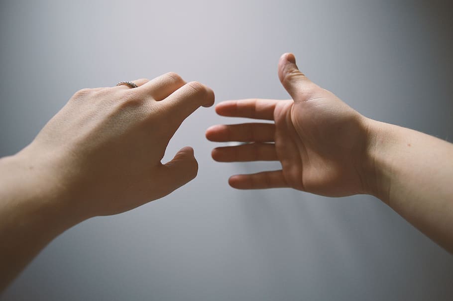 person's hands, palm, holding, human hand, human body part HD wallpaper